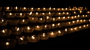 TRAGEDIE! Un soldat britanic, ucis de un elefant în Malawi. Cum a fost posibil...