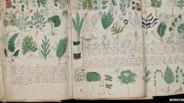 Incredibil! Descifrarea celebrului manuscris Voynich, retrasă de pe Internet