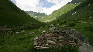 TRAGEDIE în Sinaia! Un CADAVRU ÎN DESCOMPUNERE, găsit pe munte...