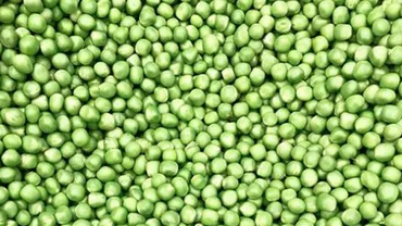 Trolling al Reprezentanței Comisiei Europene, în ziua în care Radu Mazăre e adus în România: UE a importat mazăre din Madagascar în valoare de peste 800.000 de euro (FOTO)