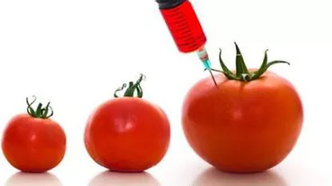 De ce mâncăm roșii fără gust? Cum forţează agricultorii români coacerea legumelor de bază: Prin metode artificiale s-a ajuns ca înroşirea tomatei să se facă în doadr câteva ore