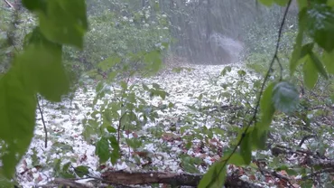 Vremea extremă pune stăpânire pe România: Cod roşu de GRINDINĂ de MARI dimensiuni şi vijelii puternice