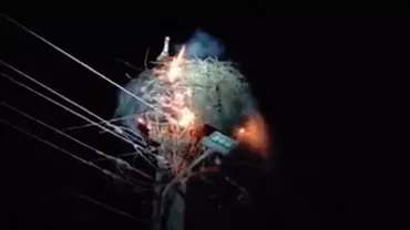 Un cuib de berze a fost lovit de trăsnet. Cum și-a protejat o pasăre puii de flăcări (VIDEO)