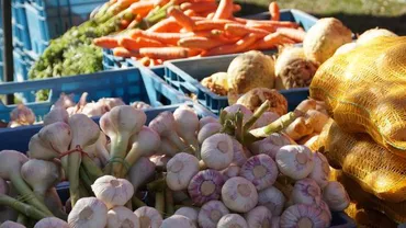 Primul oraș din România care introduce plata cu cardul în piețe. ''Este sincer cea mai bună idee din ultima perioadă''