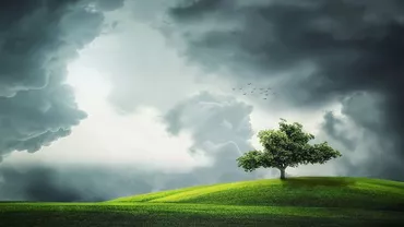ALERTĂ METEO: Răsturnare de situaţie, vremea se schimbă RADICAL! Vezi care judeţele cele mai afectate!