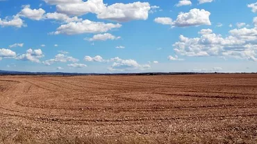 Caz BIZAR în Hunedoara: Bărbat găsit carbonizat pe câmp