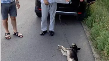 IMAGINI TERIFIANTE! Un preot a legat un câine de mașină și l-a târât pe asfalt (VIDEO)