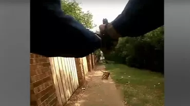 Momentul în care o femeie a fost împuşcată, din greşeală, de un poliţist (VIDEO)