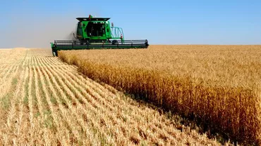 Aproape jumătate din grâul exportat din UE în afara graniţelor provine din România