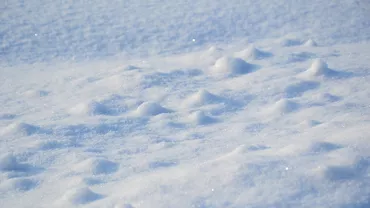 Prima ninsoare în sud-estul Australiei, după o pauză de zeci de ani. Detalii de ultim moment