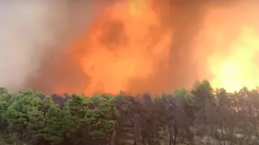 'Catastrofă ecologică' pe insula grecească Evia, devastată de flăcări (VIDEO)