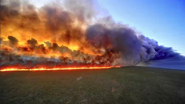Brazilia refuză sprijinul G7 pentru salvarea Pădurii Amazoniene: 'Macron nu reuşeşte nici măcar să evite un incendiu previzibil într-o biserică și vrea să dea lecții țării noastre?' (FOTO)