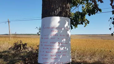 Protest INEDIT împotriva drumurilor proaste:  BLESTEME lipite pe copacii de pe marginea șoselei (FOTO)