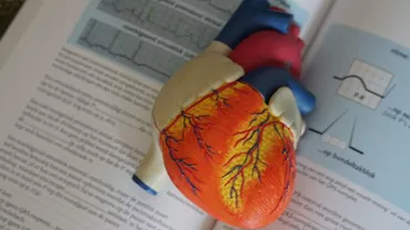 Boala coronariană – cauze, simptome, tratament şi prevenţie