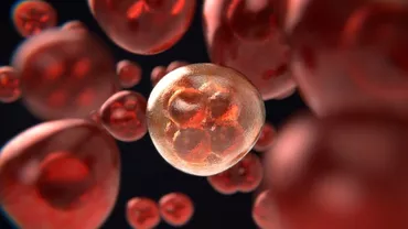 Topul celor mai CANCERIGENE substanţe: OMS tocmai a făcut anunțul SURPRINZĂTOR! Aveți mare grijă...