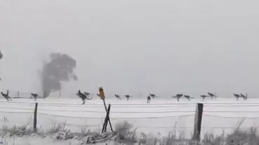 ALERTĂ METEO: O furtună de zăpadă a lovit în septembrie. Autoritățile, ÎN ALERTĂ. A fost declarată STARE DE URGENȚĂ (VIDEO)