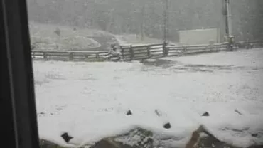 ALERTĂ METEO: Iarna a pus stăpânire peste România. Vezi zonele vizate (VIDEO)