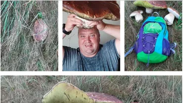 Hribi uriași culeși în Poiana Brașov (FOTO, VIDEO)