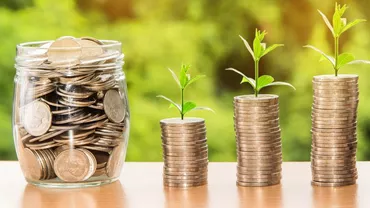 Ministerul Agriculturii propune un buget de 925 milioane lei pentru liceele agricole, în următorii patru ani