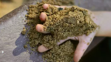 ȘOCANT! SĂPA MORMÂNTUL pentru copilul lui, când a descoperit o fetiță de doar 5 zile ÎNGROPATĂ DE VIE! Ce a urmat e HORROR!