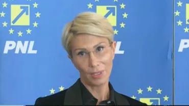 Turcan (PNL): 'Cu cât întârzie învestirea noului guvern, cu atât Dăncilă rămâne la Palatul Victoria. Noi vrem să oprim starea de instabilitate, unii vor anticipate acum'