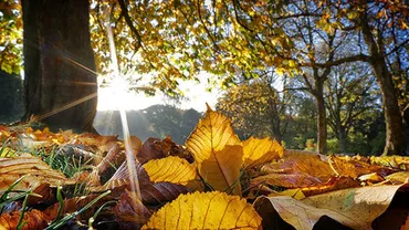 ALERTĂ METEO: Ce se întâmplă cu vremea săptămâna aceasta! Vezi județele vizate!