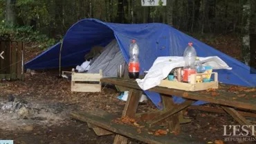 Românii au 'INVADAT' un sat din Franța, unde culeg ciupercile, în special mânătărci: 'Persoanele acelea își fac nevoile în pădure. Vor fi goniți cu FURCILE' (FOTO)