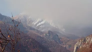 INCENDII PUTERNICE de vegetație în Munții Cernei. Flăcările se întind pe 18 hectare (FOTO)