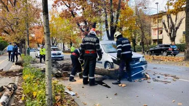 La un pas de TRAGEDIE în Capitală! Un copac s-a prăbuşit peste o maşină în mers (GALERIE FOTO)