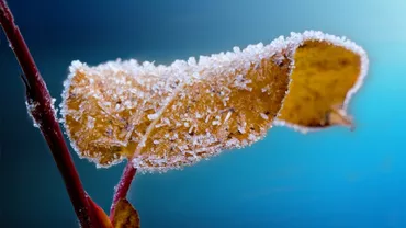Luna noiembrie aduce temperaturi neașteptate. Veștile vin chiar de la meteorologi