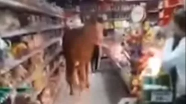 Imagini HALUCINANTE în Buzău! Un bărbat a intrat cu un cal în supermarket (VIDEO)