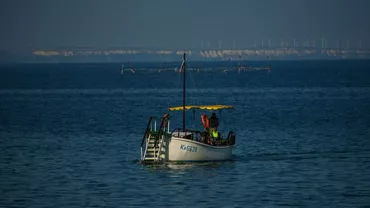 Cota de pescuit la calcan a României crește la 75 tone/an: Decizia luată la Sesiunea Anuală a Comisiei Generale pentru Pescuit în Mediterană și Marea Neagră