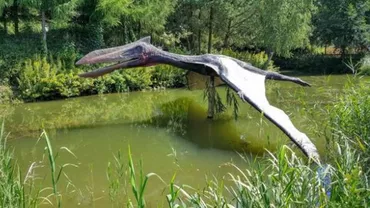 ULUITOR: A fost descoperit un PTEROZAUR în Transilvania! Cercetătorii americani confirmă datele despre REPTILA ZBURĂTOARE