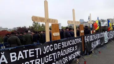 Pădurarii vor fi înarmați și vor primi 5 salarii compensatorii odată cu pensionarea. Camera Deputaților a modificat statutul personalului silvic cu unanimitate de voturi