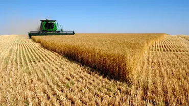Bani europeni pentru fermieri! Se pun la bătaie 467 milioane euro! Detalii de ultimă oră