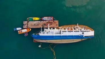 Asociația Letea Wild Horses: ”Misiune încheiată. 243 de oi salvate. Dacă statul s-ar fi mișcat mai repede, încă din prima zi a dezastrului, mult mai multe vieți puteau fi salvate”