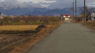 Inspectoratul de Stat în Construcții face controale la obiectivele realizate prin PNDL I și PNDL II, în toată țara. Ion Ștefan: ”Acolo unde se vor găsi nereguli, plățile nu se vor face. Responsabilii vor fi trași la răspundere”