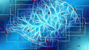 Premieră în medicină: Au fost creați neuronii artificiali care pot repara circuitele nervoase din creier
