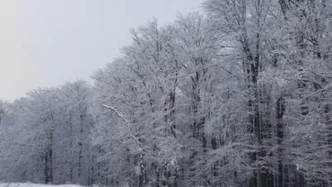 ALERTĂ METEO: Schimbare radicală a vremii în weekend! Care sunt judeţele vizate!