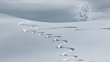 ALERTĂ METEO: Iarna a pus stăpânire peste România. Risc de avalanșe în weekend în zonele cu acumulări mari de zăpadă