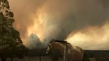 APOCALIPSĂ în Australia din cauza SECETEI și a INCENDIILOR DEVASTATOARE: Oamenii se bat pe apă potabilă. ZECI DE MII de sticle, FURATE (VIDEO)