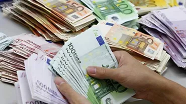 MII DE EURO, găsiți sub un copac. Polițiștii au rămas muți de uimire! Ce s-a întâmplat cu banii