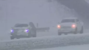 Fenomen neobișnuit: Furtună de zăpadă în California. Temperaturile scăzute au făcut o victimă (VIDEO)