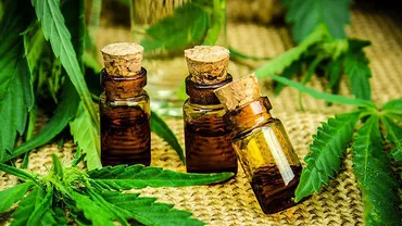 E OFICIAL: S-a deschis prima CLINICĂ DE STAT care folosește CANABIS alături de medicina tradiţională! Cozi de SUTE de persoane