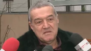 Becali: „DNA trebuie neapărat pus puțin la pământ, să stea el frumos, pe burtă, și să lase țara asta să respire, că au distrus-o” (VIDEO)