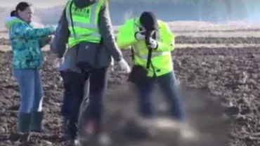 Câini găsiți împușcați pe un câmp. „Au găuri de glonţ. Fără discuţie”