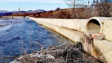 Poluare masivă pe râul Trotuş. „Aici nu vorbim de un accident biologic, ci de o intenţie criminală”