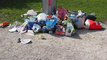 Amenzi de până la 6.000 de lei pentru cei care aruncă gunoaie pe drumuri publice. Guvernul Orban a lsant un proiect de OUG în dezbatere publică