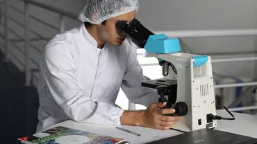 Secvența genetică a coronavirusului ucigaș a fost decodată de cercetători / Cel puțin 41 de decese, peste 1.300 de cazuri confirmate în toată lumea, orașe în carantină și construcții de spitale în timp record