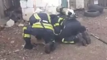 Doi căței și o pisică, resuscitați de pompieri vrânceni, după ce au fost salvați în mod miraculos dintr-o casă în flăcări (FOTO, VIDEO)